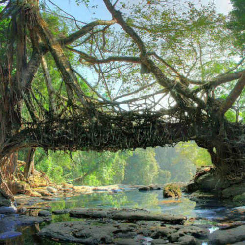 Assam Meghalaya Dubai Tour | Bestination Holidays