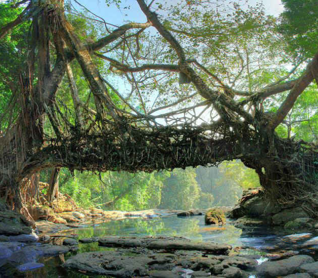 Assam Meghalaya Dubai Tour | Bestination Holidays