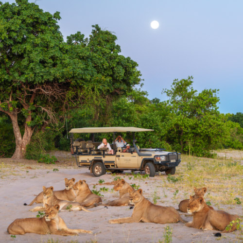 Africa Namibian Dubai Tour | Bestination Holidays