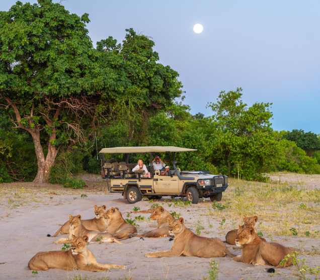 Africa Namibian Dubai Tour | Bestination Holidays