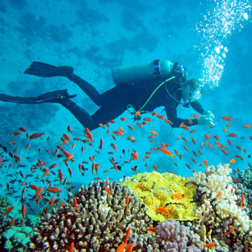Andaman Dubai Tour | Bestination Holidays