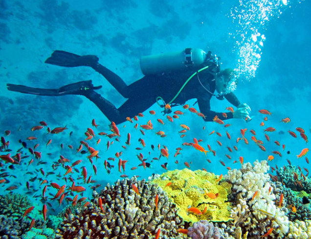 Andaman Dubai Tour | Bestination Holidays
