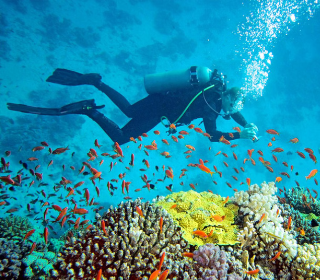 Andaman Dubai Tour | Bestination Holidays