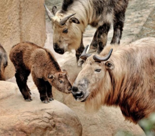 Bhutan Dubai Tour | Bestination Holidays