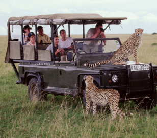 Dubai Nairobi kenya Tour | Bestination Holidays