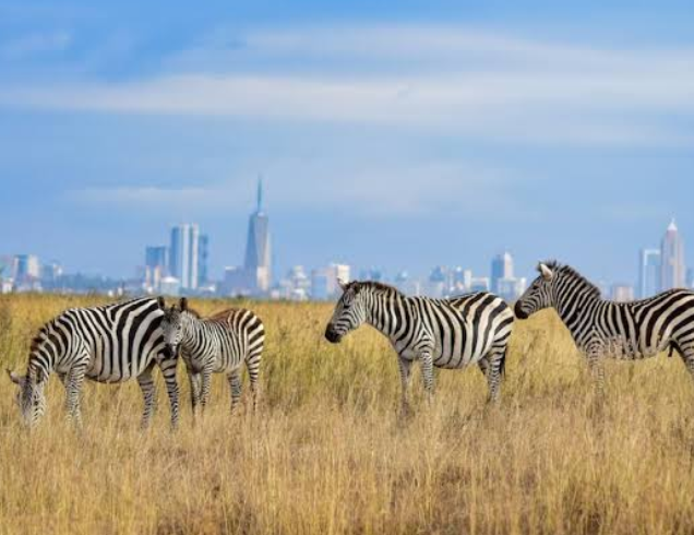 Dubai Nairobi kenya Tour | Bestination Holidays