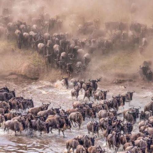 Dubai Africa Tour | Bestination Holidays