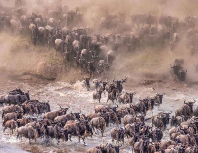 Dubai Africa Tour | Bestination Holidays