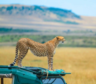 Dubai Africa Tour | Bestination Holidays