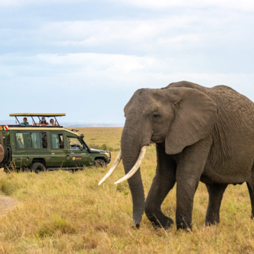 Dubai Africa Tour | Bestination Holidays
