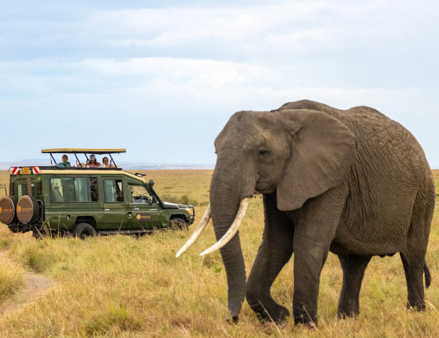 Dubai Africa Tour | Bestination Holidays
