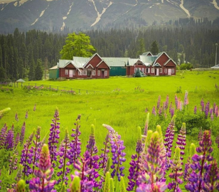 Dubai Kashmir Tour | Bestination Holidays
