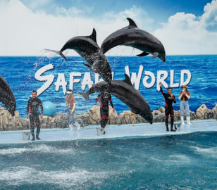 Dubai Thailand Tour | Bestination Holidays