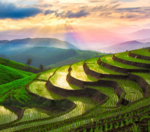 Dubai Vietname Tour | Bestination Holidays