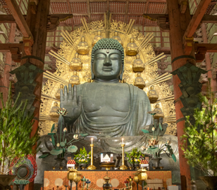 Japan Dubai Tour | Bestination Holidays