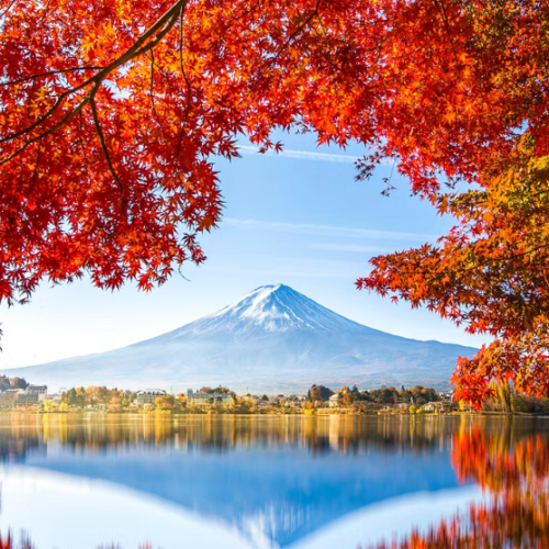 Japan Dubai Tour | Bestination Holidays