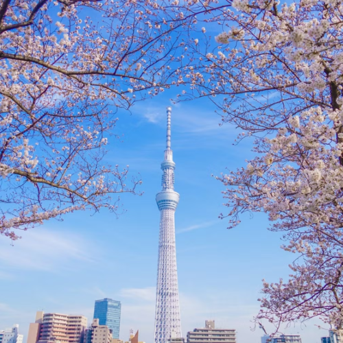 Japan Korea Dubai Tour | Bestination Holidays