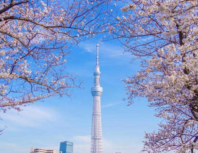 Japan Korea Dubai Tour | Bestination Holidays