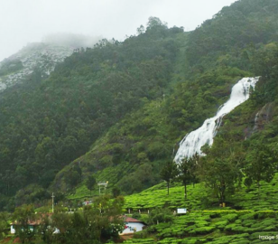 Munnar Dubai Tour | Bestination Holidays