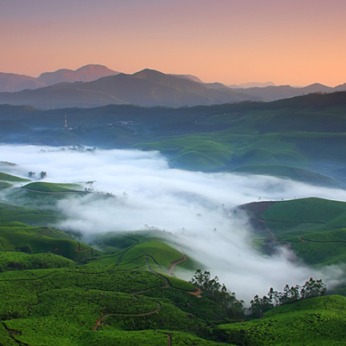Munnar Dubai Tour | Bestination Holidays