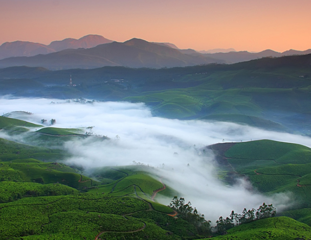 Munnar Dubai Tour | Bestination Holidays