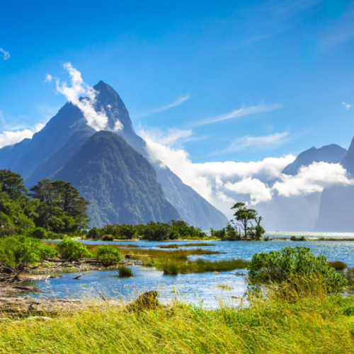 New Zealand Dubai Tour | Bestination Holidays