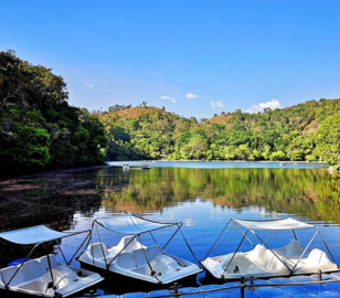 Dubai Wayanad Tour | Bestination Holidays