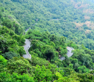 Dubai Wayanad Tour | Bestination Holidays